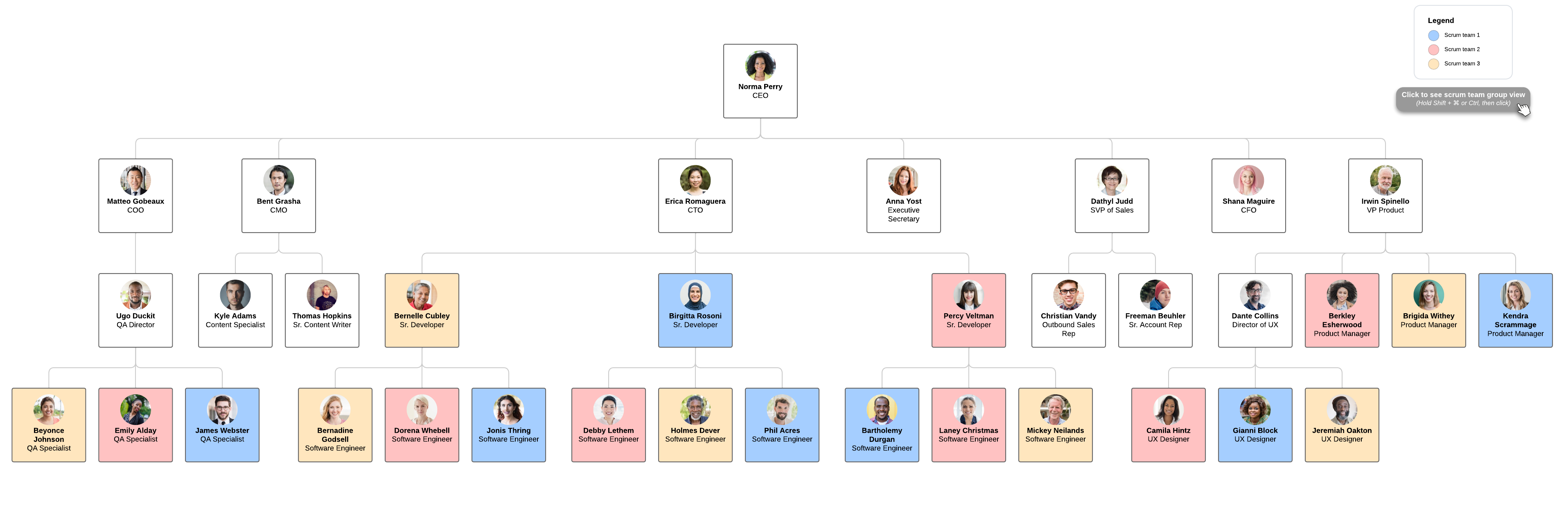 Organograma de equipe do Scrum 