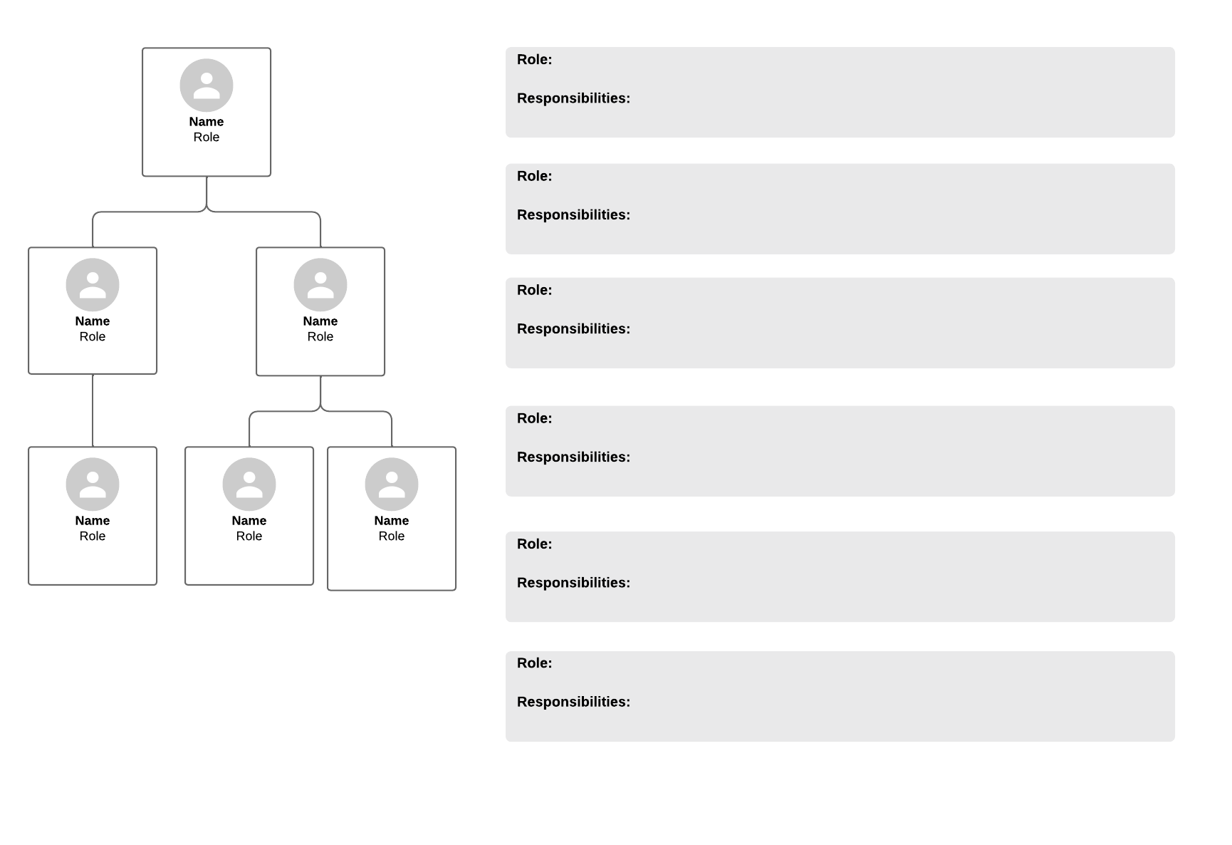 Roles responsibilities framework