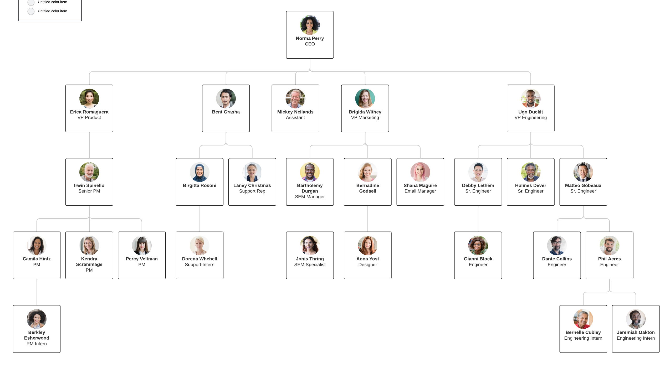 Org chart example